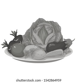 A set of many types of delicious vegetables that lie on plates. Gray tones. Big swing cabbage. Isolated vector illustration.