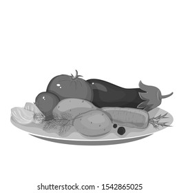 A set of many types of delicious vegetables that lie on plates. Gray tones Isolated vector illustration.