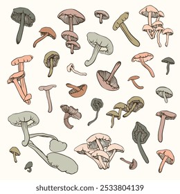set with many vector hand drawn mushrooms with dark outline on white background
