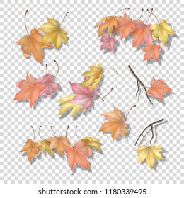 Set of maple autumn leaves and branches with a blurred shadow on a transparent background. Vector fall illustration