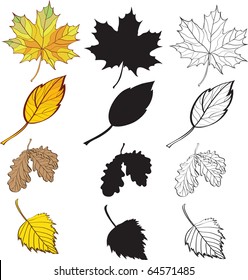 a set of maple and birch leaves