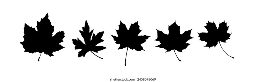 Set of maple leaf silhouettes. Autumn leaves - vector illustration