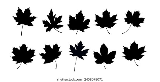 Set of maple leaf silhouettes. Autumn leaves - vector illustration