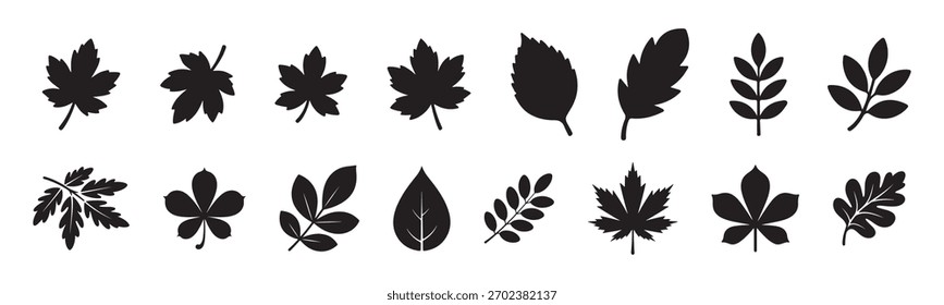Conjunto de siluetas de hoja de arce. Hojas de otoño - Ilustración vectorial
