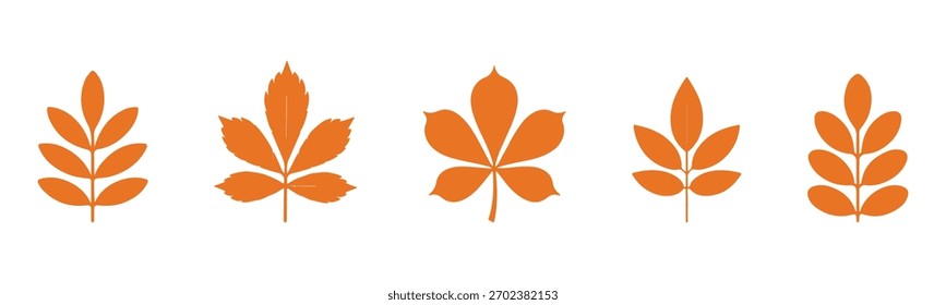 Satz von Ahornblattsilhouetten. Herbstblätter - Vektorgrafik