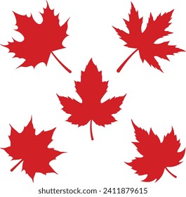 Set of Maple Leaf Silhouettes Vector Icon Illustration.