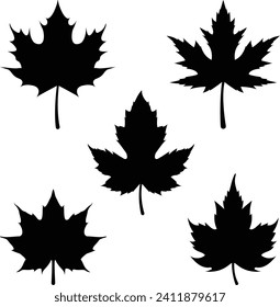 Set of Maple Leaf Silhouettes Vector Icon Illustration.