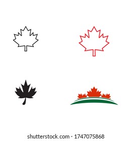 Set Maple leaf vector illustration design template