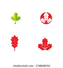 Set Maple leaf vector illustration design template