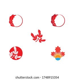 Set Maple leaf vector illustration design template
