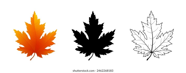 Set of maple leaves icons isolated on white background. Bright autumn red maple leaf, black silhouette and outline. Vector illustration