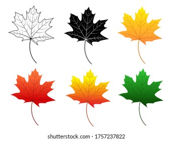 Set of maple leaves: orange, red, yellow, green, black and white, leaf outline. Cartoon vector isolated icon on white background