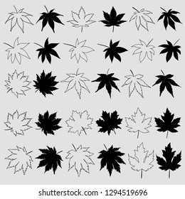 Set of maple leaves silhouettes isolated. Vector maple leaf drawing.