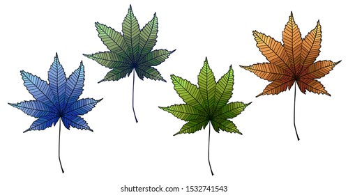 Set of maple leaves with simple striped decor on white horizontal background. Isolated. Four leaves: winter, spring, summer, autumn. 