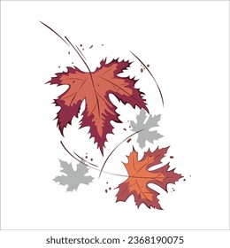 Set of maple leaves vector isolated on white background. Autumn maple tree leaves for design greeting cards, posters, etc.