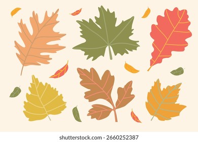 Conjunto con arce, roble y otras hojas de otoño. Colores naranja, verde, marrón y beige. Para el diseño de postales, patrones, invitaciones, fondos, carteles y Anuncios.