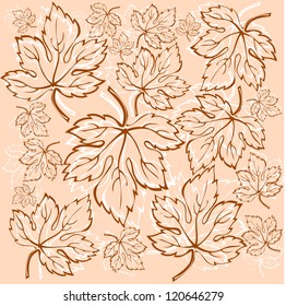 Set of Maple Vector Version