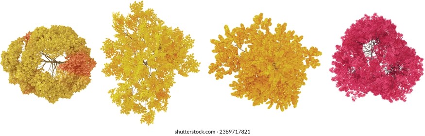 set of Maple,Red maple trees on transparent background from the top view