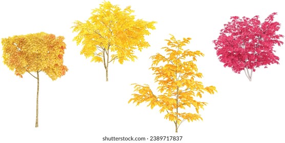 set of Maple,Red maple trees on transparent background, 3D rendering