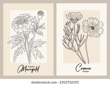 Set of Marigold and Cosmos, October birth month flower line art vector wall art. Trendy beige and black posters for Scandinavian, japandi interior design. Minimalist monochrome illustrations isolated