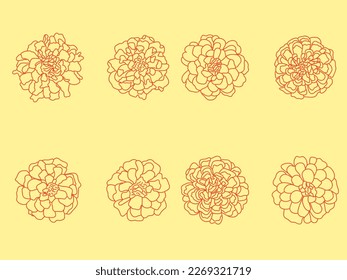 set of marigold flowers in outline style. Hand drawn floral monochrome graphic illustration