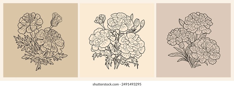 Set of Marigold, October birth month flower outline drawings. Modern minimalist hand drawn floral design for logo, tattoo, packaging, cards. Line art vector clipart on neutral beige background