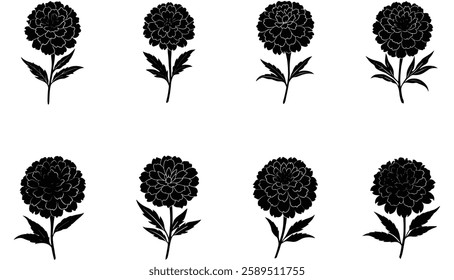 Set of marigold silhouettes illustration on white background