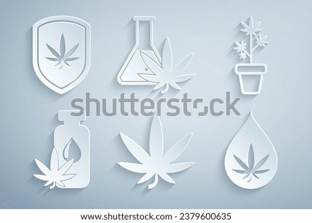 Set Marijuana or cannabis leaf, plant in pot, oil, Test tube with marijuana and Shield and icon. Vector