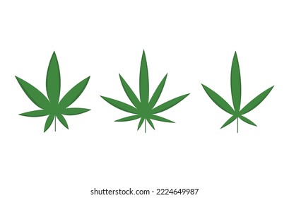 Conjunto de hojas de cannabis de marihuana en un concepto plano. Los íconos verdes de cannabis médico están listos.