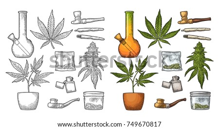 Set Marijuana. Cigarettes, pipe, lighter, buds, leaves, bottle, cigarette, glass jar, plastic bag, pipe for smoking cannabis. Vintage color vector engraving illustration. Isolated on white background