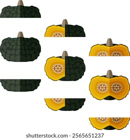 Set of Marina di Chiogga Squash or Chioggia Sea pumpkin. Winter squash. Cucurbita maxima. Vegetables. Flat style. Isolated vector illustration.