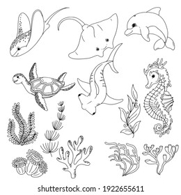 Set of Marine Animals and Algae. Water grass and corals. Freehand coloring book. Vector illustration isolated on white background