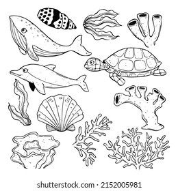 Set of marine animals outline isolated on white background. Hand drawn of sea life. whale, dolphin, turtle, shell, seaweed