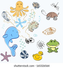 set of marine animals and shells .