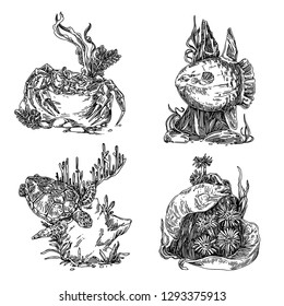 Set of marine animals. Turtle, sunfish, moray and crab. Sketch. Engraving style. Vector illustration.