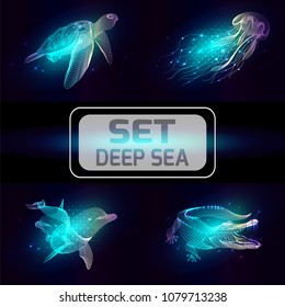 Set marine animals. Vector illustration. The   crocodile, dolphin, jellyfish, turtle consist of lines.Digital elements design  for business cards, invitations, gift cards, flyers and brochures, web.