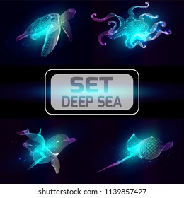 Set marine animals. Vector illustration of a sea. The cramp fish,  dolphin, octopus, turtle consist of lines. Elements design  for business cards, invitations, gift cards, flyers and brochures, web.