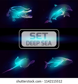 Set marine animals. Vector illustration of a  sea. The whale,  dolphin, cramp fish,  crocodile consist of lines. Elements design  for business cards, invitations, gift cards, flyers and brochures, web