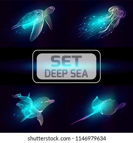 Set marine animals. Vector illustration of a starry sea. The cramp fish,  dolphin, jellyfish, turtle consist of lines. Elements design  for business cards, invitations, gift cards, brochures, web.