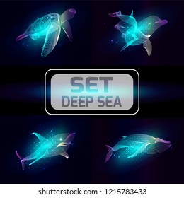 Set marine animals. Vector illustration. The   shark, dolphin, whale, turtle consist of lines.Digital elements design  for business cards, invitations, gift cards, flyers and brochures, web.