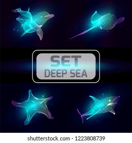 Set marine animals. Vector illustration. The   starfish, shark, dolphin, cramp consist of lines.Digital elements design  for business cards, invitations, gift cards, flyers and brochures, web.