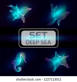 Set marine animals. Vector illustration. The  sea horse,   starfish, seal, dolphin  consist of lines.Digital elements design  for business cards, invitations, gift cards, flyers and brochures, web.
