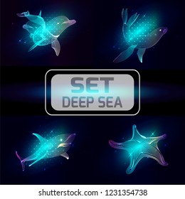 Set marine animals. Vector illustration. The   starfish, shark, dolphin, seal  consist of lines.Digital elements design  for business cards, invitations, gift cards, flyers and brochures, web.