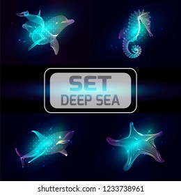 Set marine animals. Vector illustration. The  sea horse,   starfish, shark, dolphin  consist of lines.Digital elements design  for business cards, invitations, gift cards, flyers and brochures, web.