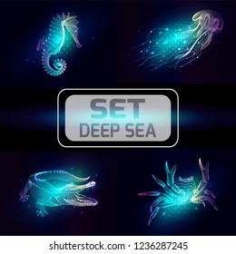 Set marine animals. Vector illustration. The crab,  sea horse, crocodile, jellyfish consist of lines.Digital elements design  for business cards, invitations, gift cards, flyers and brochures, web.
