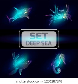 Set marine animals. Vector illustration. The shark,  sea horse, seal, crab  consist of lines.Digital elements design  for business cards, invitations, gift cards, flyers and brochures, web.