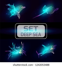 Set marine animals. Vector illustration. The  shark, crab, dolphin, cramp consist of lines.Digital elements design  for business cards, invitations, gift cards, flyers and brochures, web.