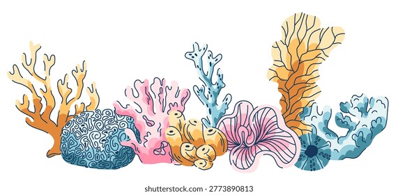A set of marine benthic corals in a linear arrangement, arborescent, sponge and tube corals and algae of a coral reef