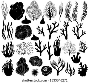 Set of marine corals, Silhouettes, vector illustration