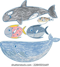 Set of marine creature illustration